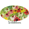 Wildblüte – Buntes Echinacea-Wiesenfragment