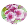 Grace - Vibrant Spring Blossom Ellipse