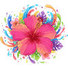 Hibiskusblüte Farbexplosion