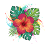 Tropical Hibiscus Splash