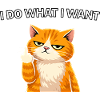 Gatto sfacciato, faccio quello che voglio