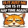 Nap Time Cat Meme