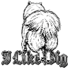 Eurasier | I Like Big