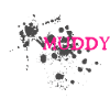 Course boueuse Schlammlauf Mud Run Muddy