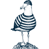 Möwe mit Pulli