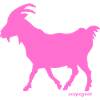 Scapegoat pink