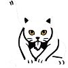 Funny Cat Cats Cat Lover Kitten