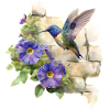 Colibri