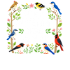 Observation des oiseaux Ornithologue Nerd