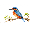 Observation des oiseaux Ornithologue Nerd
