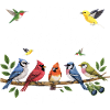 Bird Watching Birding Bird Watcher Vogel-Nerd