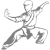 Kung Fu Fighter Kampsport Aktion Positur Angreb