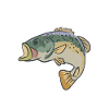 Fishing funny saying fishing