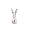 Wanted Easter Bunny