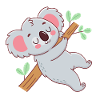 Cuddly koala on branch