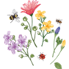 Flower meadow