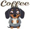 Teckel mignon au café