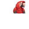 Macaw's Era