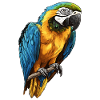 Macaw's Era