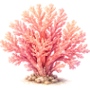 Pink Coral Illustration