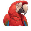 Macaw's Era