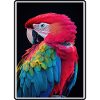 Macaw's Era