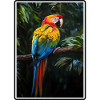 Macaw's Era