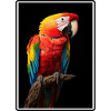 Macaw's Era