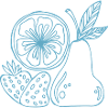 Fruit Lines Blue Sketch
