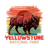 Buffalo Yellowstone National Park