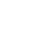 Soccer Icon