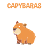 Capybara Capibara