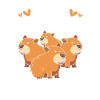Capibara Capybara
