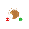 Capybara Capibara