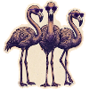 Flamingos with sunglasses