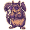 Squirrel with sunglasses nibbling hazelnut
