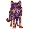 Wolf with sunglasses