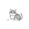 Only A Cat Person Would Understand