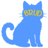 Cat-loving bride 2026