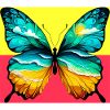 butterfly
