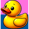 Duckling Duck Duck Duck