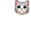 J’ADORE Chat Amoureux Chat Drôle