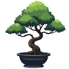 Bonsai Baum