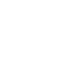 Life is Better with Dolphins