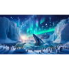 Polar Auroras and Whale