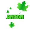 Baum Anton