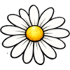 Daisy Flower Spring