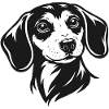 Dachshund Portrait