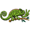 Chameleon Peace