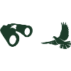 Minimalist Bird Watching Silhouette